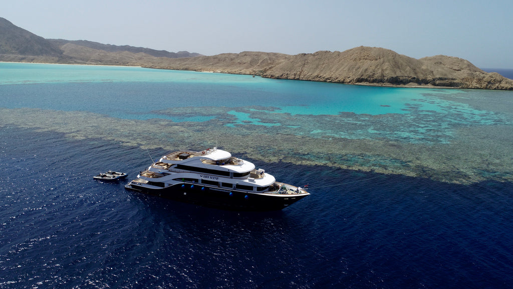 Red Sea 2024 Live Aboard Tour: Wrecks & Reefs July 29th - August 5th - Outside The Asylum Diving & Travel