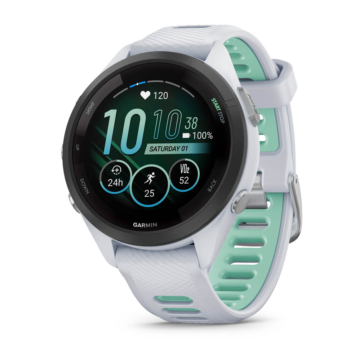 Forerunner® 265S

Black Bezel with Whitestone Case and Whitestone/Neo Tropic Silicone Band