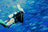 PADI Divemaster Course