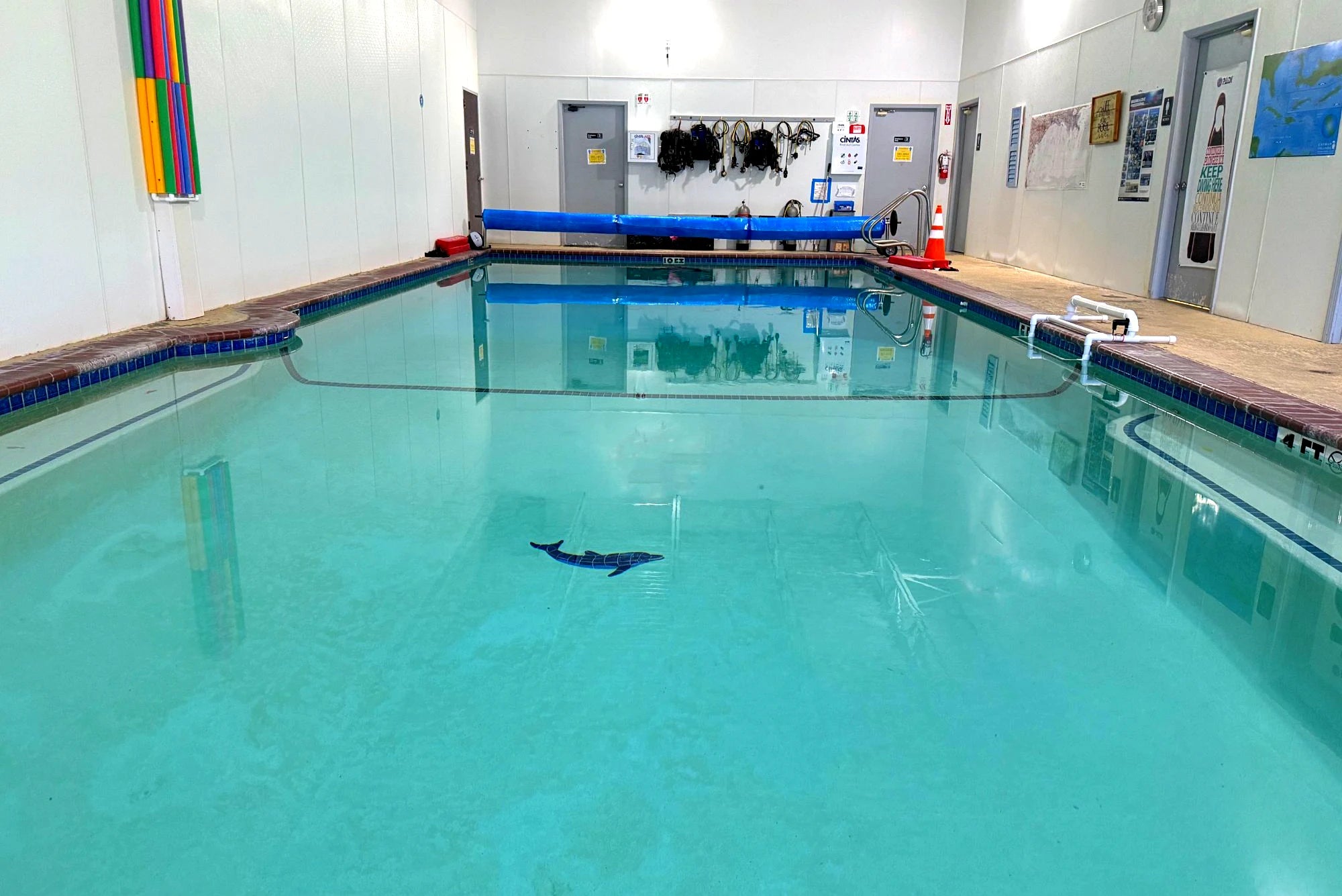 Adult Swim Class