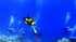 PADI Deep Diver Specialty – Katy, TX | OTA Scuba & Swim