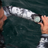 Aqua Lung HydroFlex 3mm Coral Guardian Wetsuit Womens - Outside The Asylum Diving & Travel